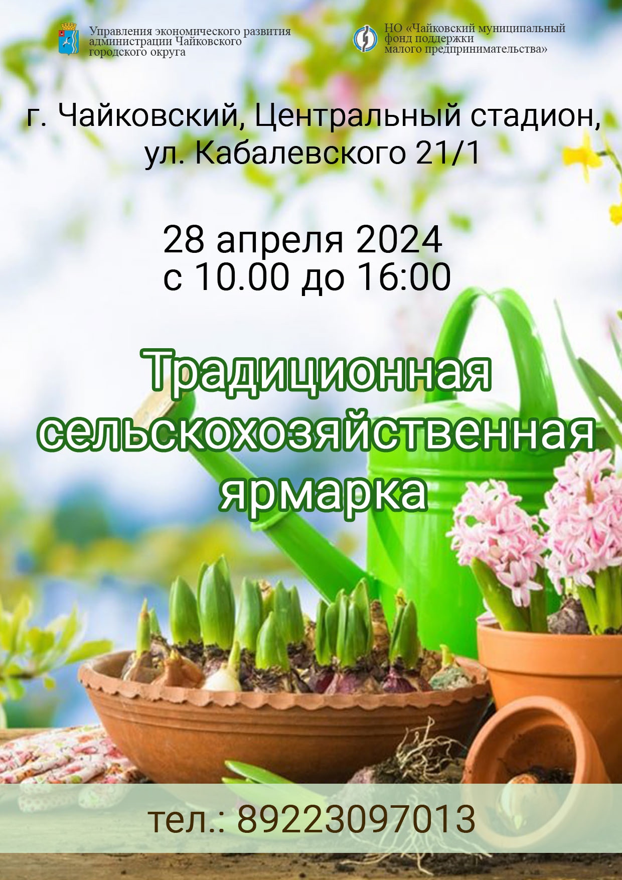 Сельскохозяйственная ярмарка – 2024, стадион «Центральный», Чайковский