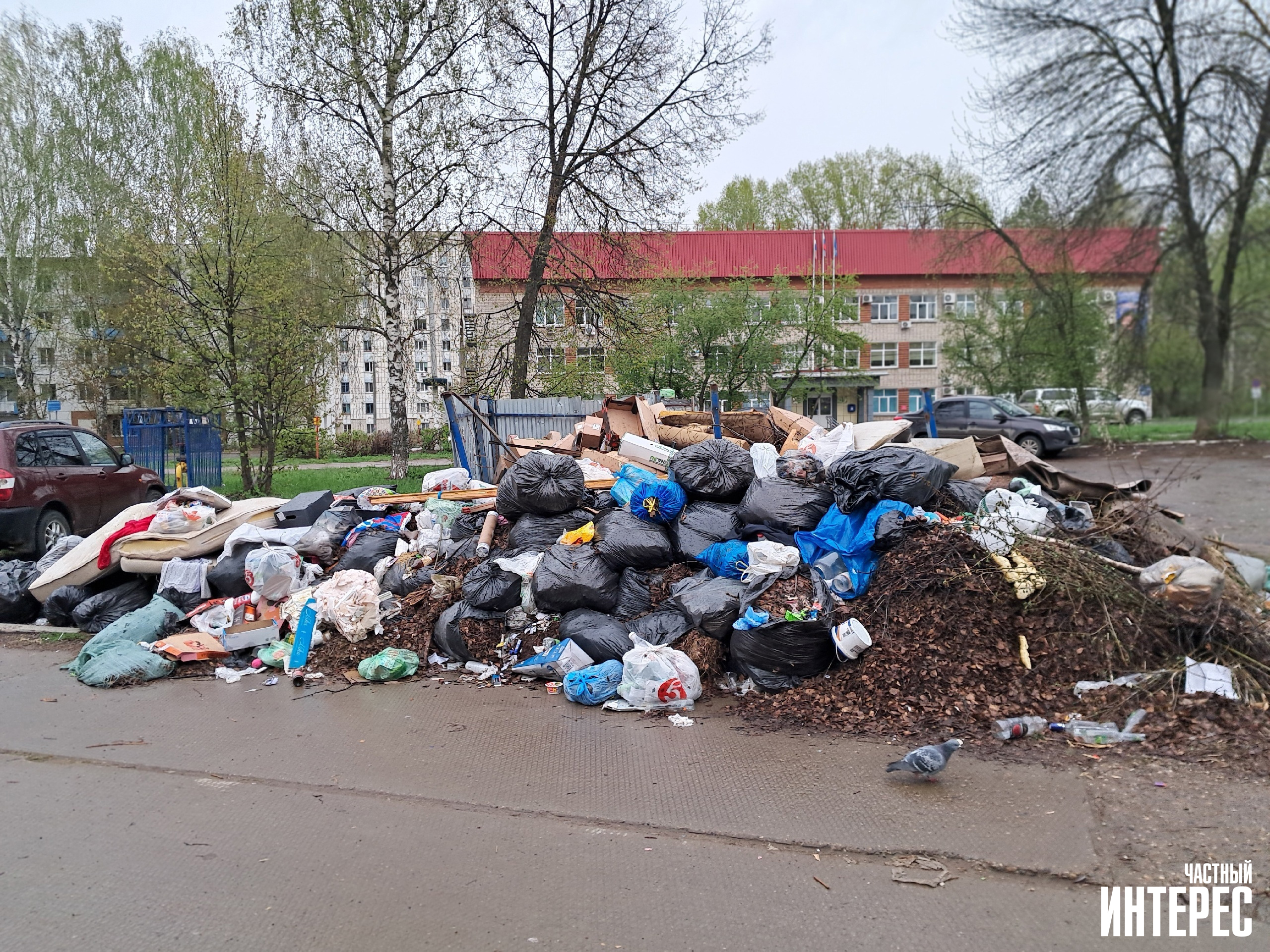 Власти выделили деньги на вывоз крупногабаритного мусора