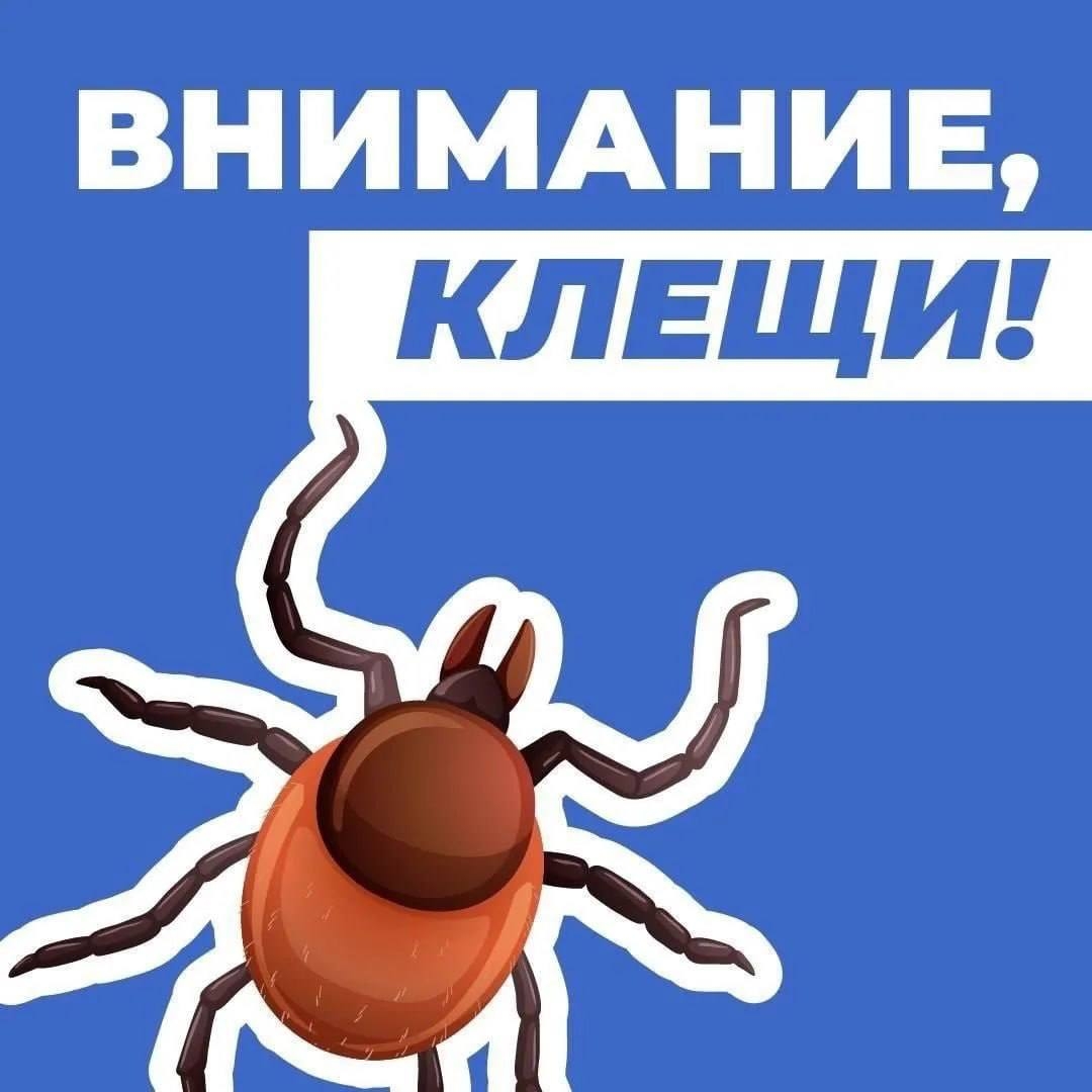 «Новые люди» предложили меры по защите от клещей