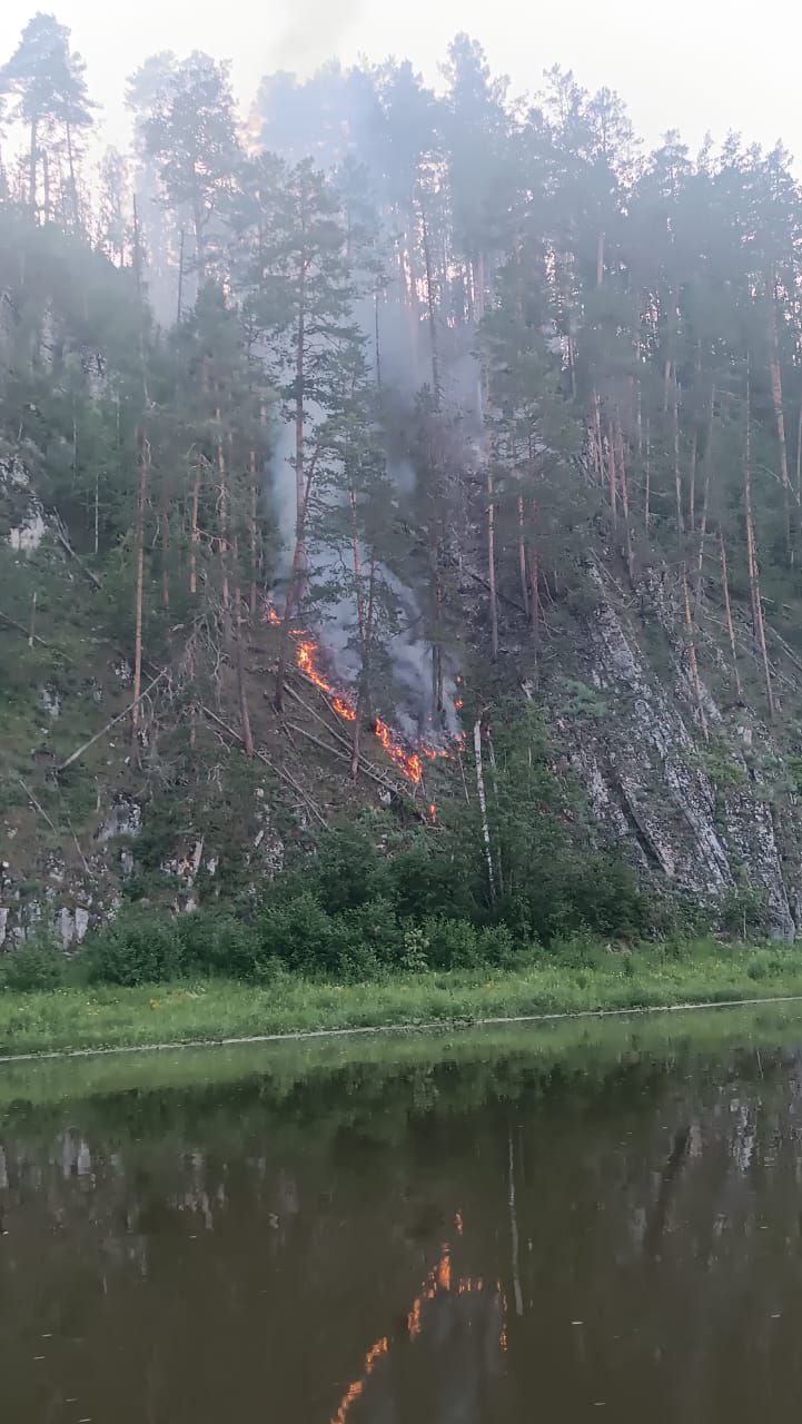 29 лесных пожаров случилось в Прикамье с начала сезона